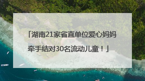 湖南21家省直单位爱心妈妈牵手结对30名流动儿童！