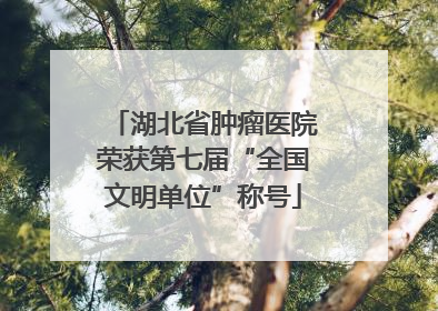 湖北省肿瘤医院荣获第七届“全国文明单位”称号