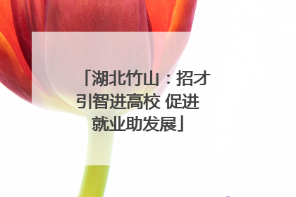 湖北竹山：招才引智进高校 促进就业助发展