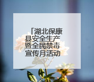 湖北保康县安全生产暨全民禁毒宣传月活动精彩启幕