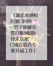 湖北孝感相关部门回应“一男子称被交警打断9根肋骨未立案”：已成立联合专班开展工作