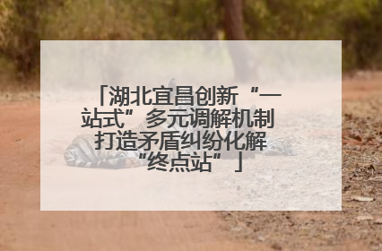 湖北宜昌创新“一站式”多元调解机制 打造矛盾纠纷化解“终点站”