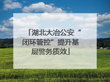 湖北大冶公安“闭环管控”提升基层警务质效