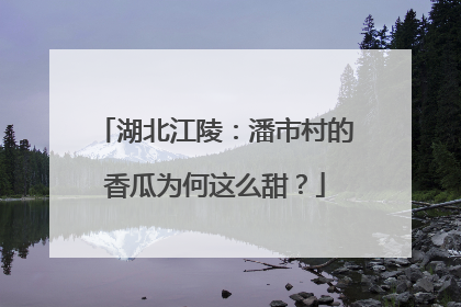 湖北江陵：潘市村的香瓜为何这么甜？