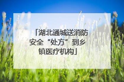 湖北通城送消防安全“处方”到乡镇医疗机构