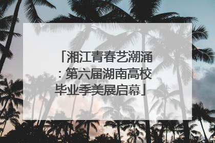 湘江青春艺潮涌：第六届湖南高校毕业季美展启幕