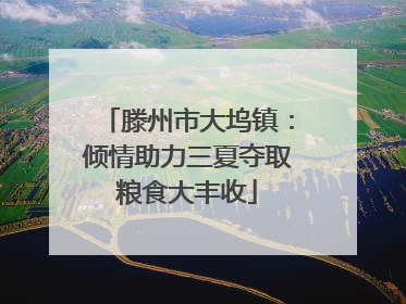 滕州市大坞镇：倾情助力三夏夺取粮食大丰收
