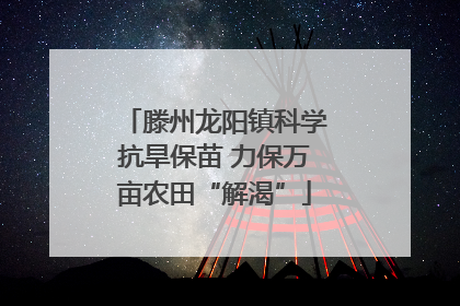 滕州龙阳镇科学抗旱保苗 力保万亩农田“解渴”