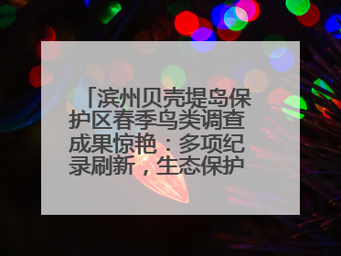 滨州贝壳堤岛保护区春季鸟类调查成果惊艳：多项纪录刷新，生态保护成效显著