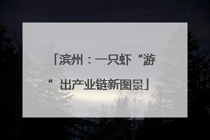 滨州：一只虾“游”出产业链新图景
