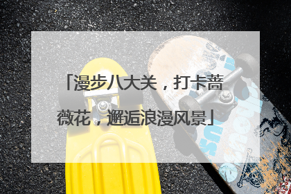 漫步八大关，打卡蔷薇花，邂逅浪漫风景