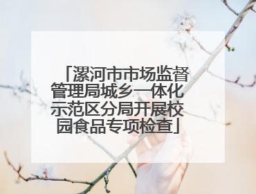 漯河市市场监督管理局城乡一体化示范区分局开展校园食品专项检查