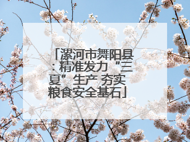 漯河市舞阳县：精准发力“三夏”生产 夯实粮食安全基石