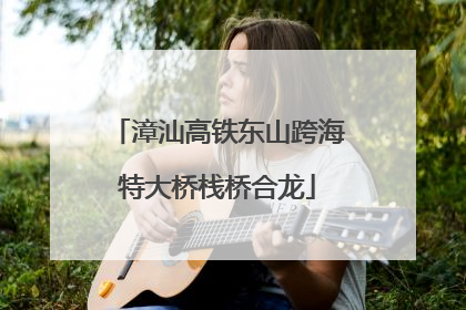 漳汕高铁东山跨海特大桥栈桥合龙