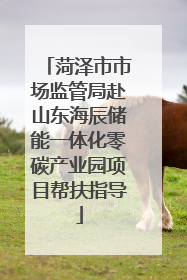 菏泽市市场监管局赴山东海辰储能一体化零碳产业园项目帮扶指导