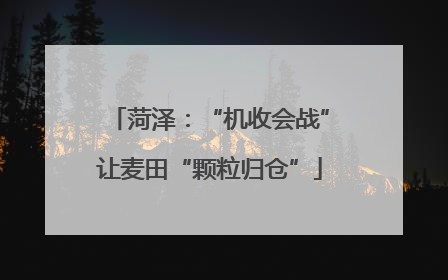 菏泽：“机收会战”让麦田“颗粒归仓”