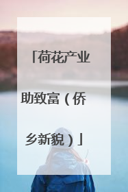 荷花产业助致富（侨乡新貌）