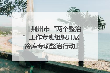 荆州市“两个整治”工作专班组织开展冷库专项整治行动