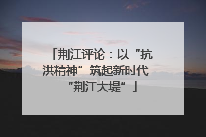荆江评论：以“抗洪精神”筑起新时代“荆江大堤”