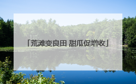 荒滩变良田 甜瓜促增收