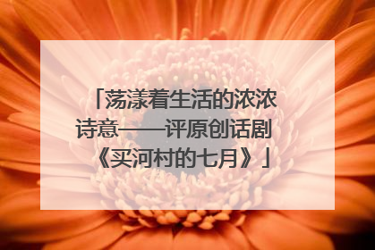 荡漾着生活的浓浓诗意——评原创话剧《买河村的七月》
