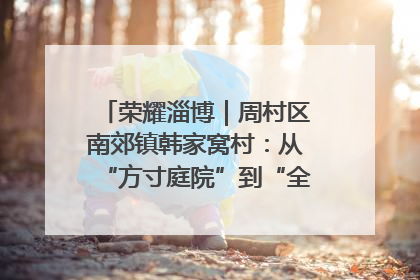 荣耀淄博｜周村区南郊镇韩家窝村：从“方寸庭院”到“全域文明”，乡村振兴的“美学革命”