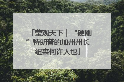 莹观天下｜“硬刚”特朗普的加州州长纽森何许人也
