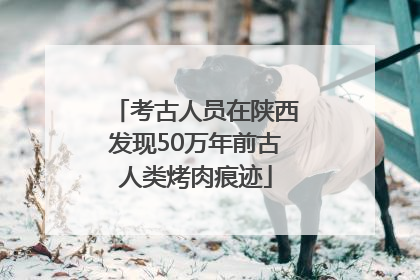 考古人员在陕西发现50万年前古人类烤肉痕迹