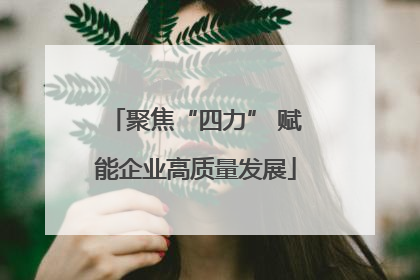 聚焦“四力” 赋能企业高质量发展