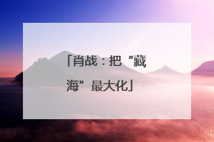 肖战：把“藏海”最大化