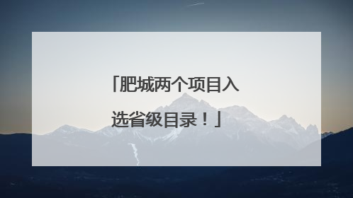 肥城两个项目入选省级目录！
