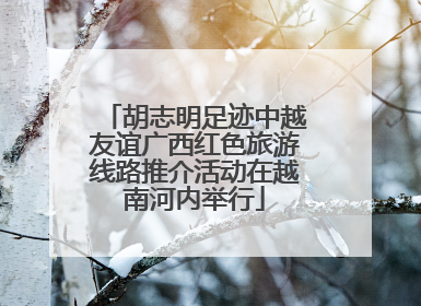 胡志明足迹中越友谊广西红色旅游线路推介活动在越南河内举行