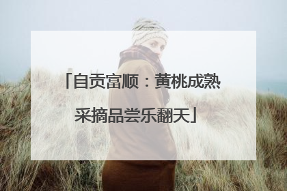 自贡富顺：黄桃成熟 采摘品尝乐翻天