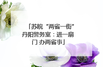 苏皖“两省一街”丹阳警务室：进一扇门 办两省事