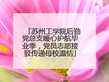 苏州工学院后勤党总支暖心护航毕业季，党员志愿接驳传递母校温情
