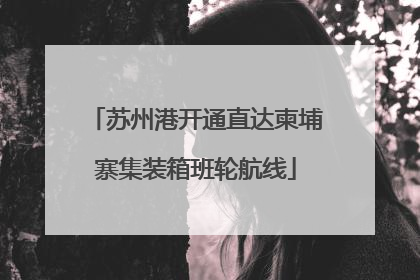 苏州港开通直达柬埔寨集装箱班轮航线