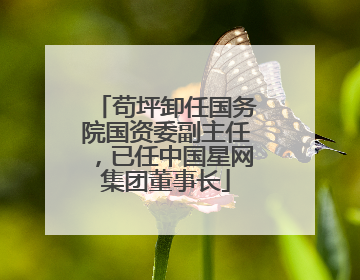 苟坪卸任国务院国资委副主任，已任中国星网集团董事长