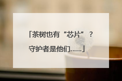 茶树也有“芯片”？守护者是他们……