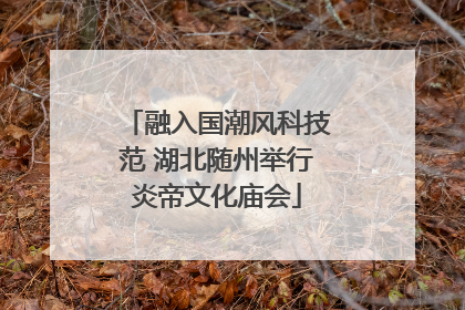 融入国潮风科技范 湖北随州举行炎帝文化庙会