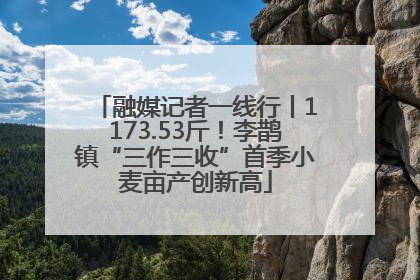 融媒记者一线行丨1173.53斤！李鹊镇“三作三收”首季小麦亩产创新高