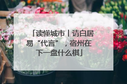 读懂城市丨请白居易“代言”，宿州在下一盘什么棋