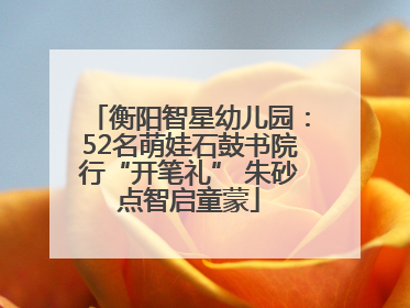 衡阳智星幼儿园：52名萌娃石鼓书院行“开笔礼” 朱砂点智启童蒙
