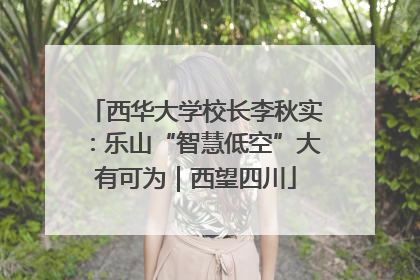 西华大学校长李秋实：乐山“智慧低空”大有可为｜西望四川