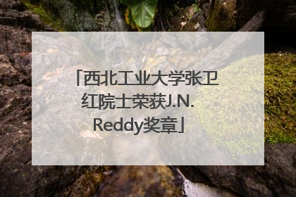 西北工业大学张卫红院士荣获J.N.Reddy奖章