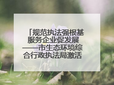 规范执法强根基 服务企业促发展——市生态环境综合行政执法局激活营商环境“绿色动能”