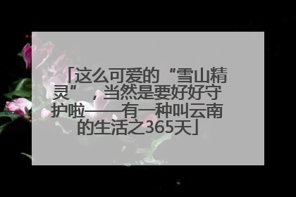 这么可爱的“雪山精灵”，当然是要好好守护啦——有一种叫云南的生活之365天