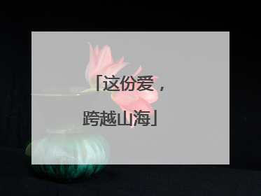 这份爱，跨越山海