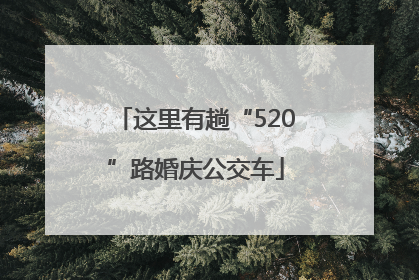 这里有趟“520”路婚庆公交车