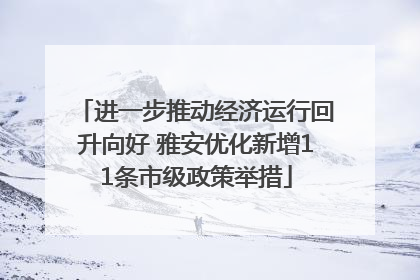 进一步推动经济运行回升向好 雅安优化新增11条市级政策举措