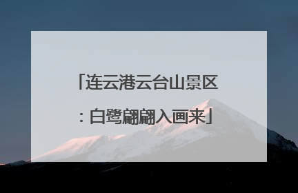 连云港云台山景区：白鹭翩翩入画来